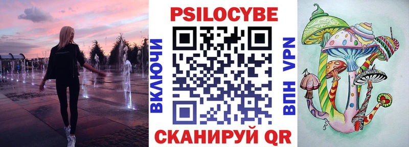 Галлюциногенные грибы Psilocybine cubensis  где можно купить наркотик  mega вход  Аркадак 